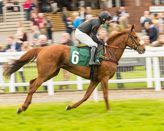 Race 4 - Timico Gold Cup (112 of 380)