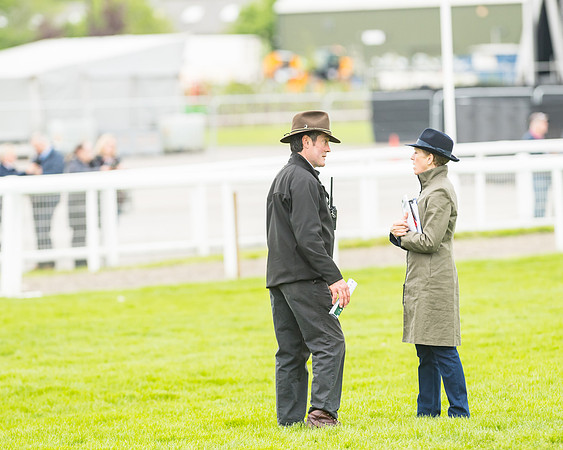 Race 4 - Timico Gold Cup (114 of 380)