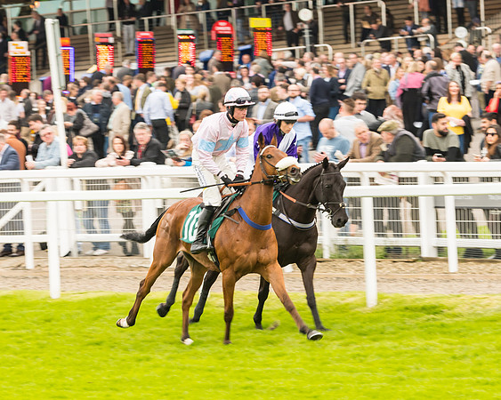 Race 4 - Timico Gold Cup (115 of 380)