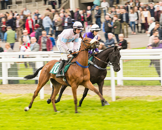 Race 4 - Timico Gold Cup (117 of 380)