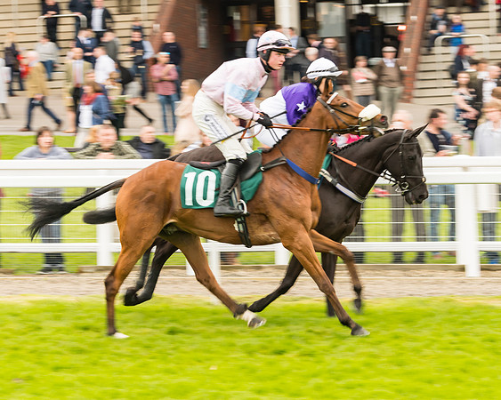 Race 4 - Timico Gold Cup (120 of 380)