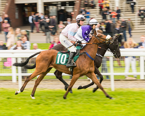 Race 4 - Timico Gold Cup (121 of 380)
