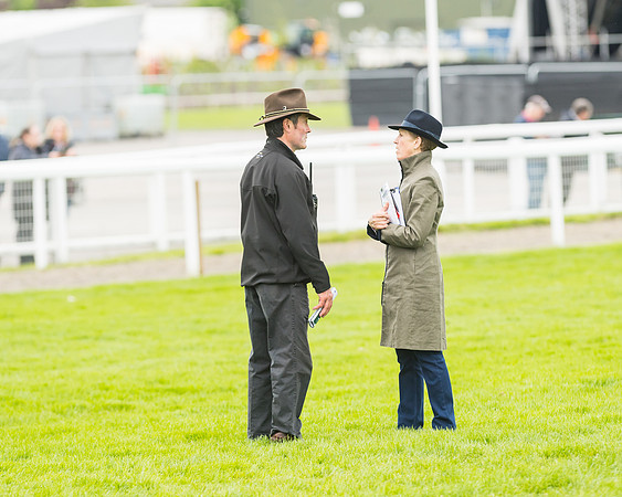 Race 4 - Timico Gold Cup (122 of 380)