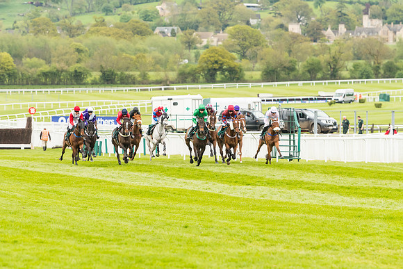 Race 4 - Timico Gold Cup (126 of 380)