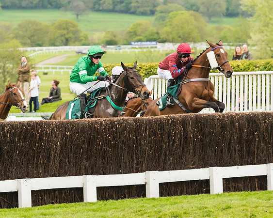 Race 4 - Timico Gold Cup (128 of 380)