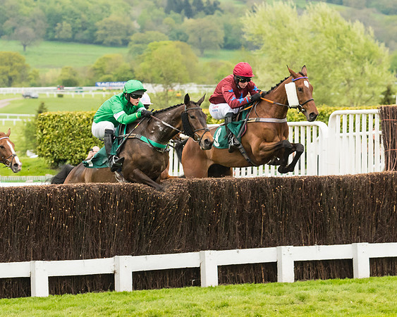 Race 4 - Timico Gold Cup (129 of 380)