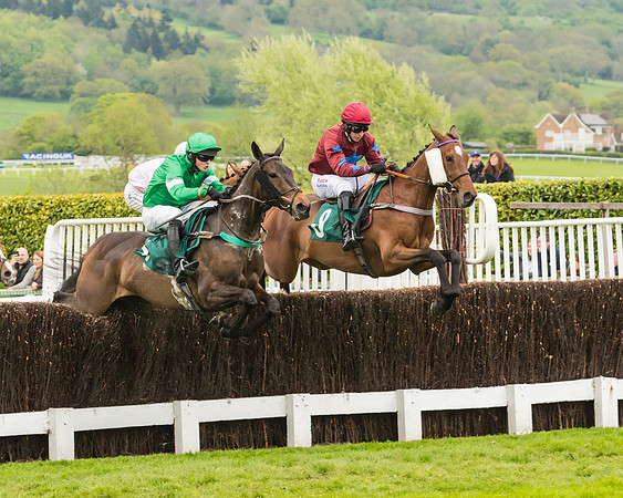 Race 4 - Timico Gold Cup (130 of 380)