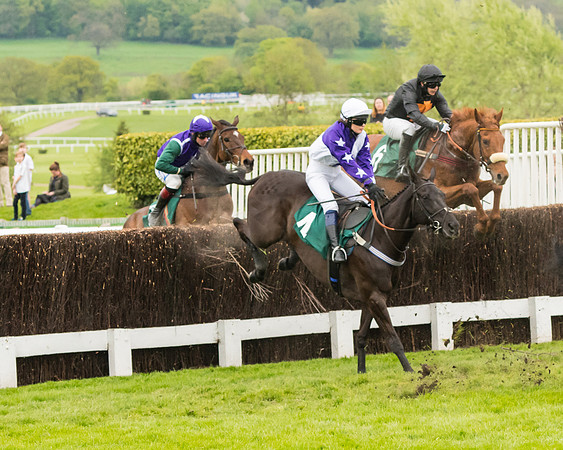 Race 4 - Timico Gold Cup (135 of 380)