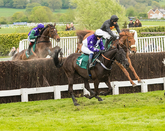 Race 4 - Timico Gold Cup (136 of 380)