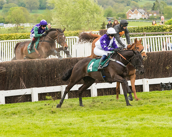 Race 4 - Timico Gold Cup (137 of 380)