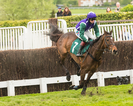 Race 4 - Timico Gold Cup (139 of 380)