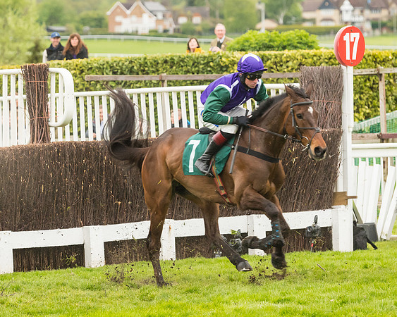 Race 4 - Timico Gold Cup (140 of 380)
