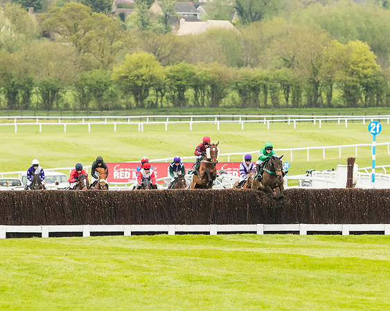 Race 4 - Timico Gold Cup (143 of 380)
