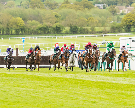 Race 4 - Timico Gold Cup (144 of 380)