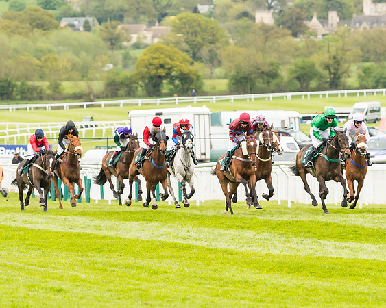 Race 4 - Timico Gold Cup (145 of 380)