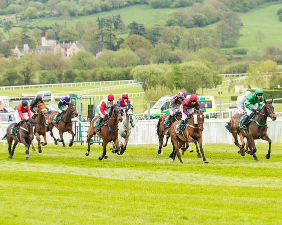 Race 4 - Timico Gold Cup (146 of 380)