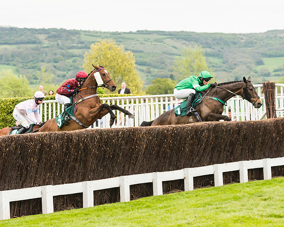 Race 4 - Timico Gold Cup (148 of 380)