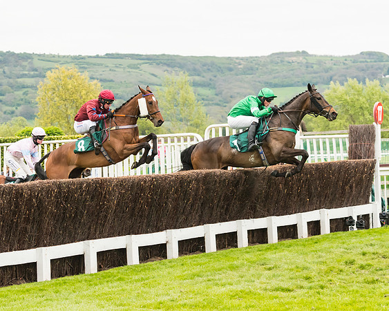 Race 4 - Timico Gold Cup (149 of 380)