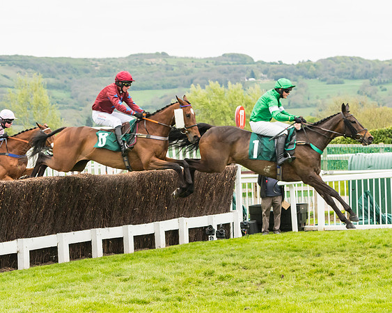 Race 4 - Timico Gold Cup (151 of 380)