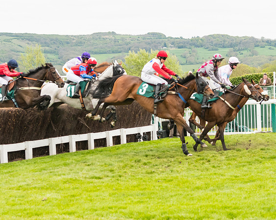 Race 4 - Timico Gold Cup (155 of 380)