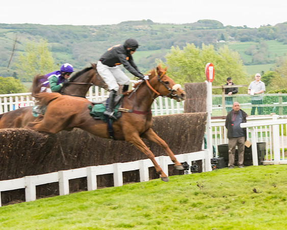 Race 4 - Timico Gold Cup (159 of 380)