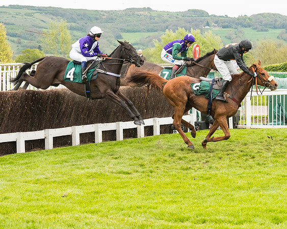 Race 4 - Timico Gold Cup (160 of 380)