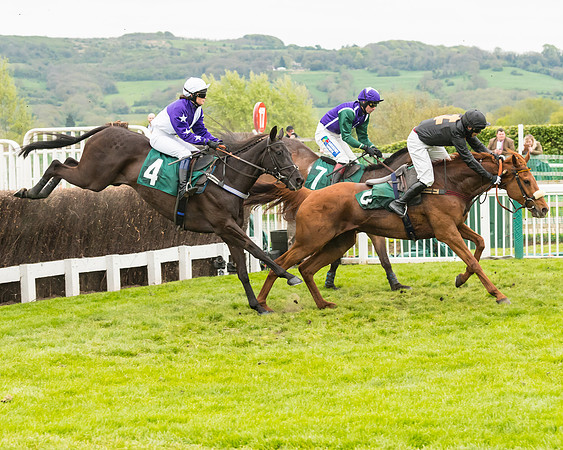 Race 4 - Timico Gold Cup (161 of 380)