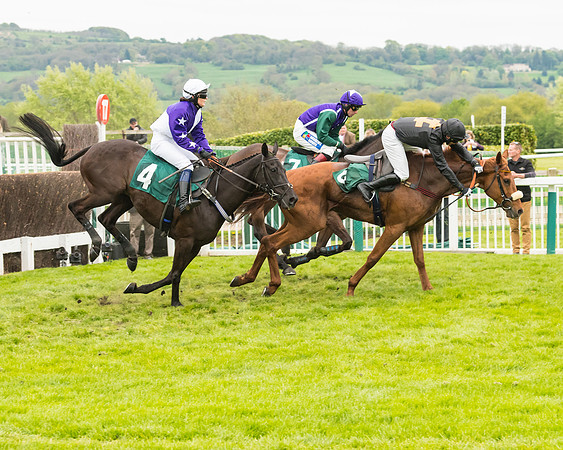 Race 4 - Timico Gold Cup (162 of 380)