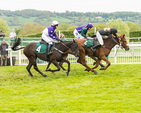 Race 4 - Timico Gold Cup (163 of 380)