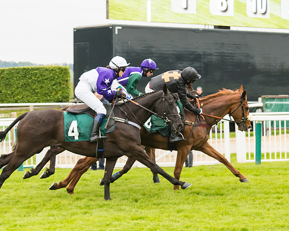 Race 4 - Timico Gold Cup (167 of 380)