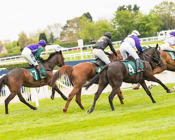 Race 4 - Timico Gold Cup (173 of 380)