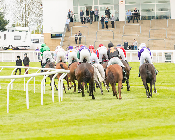 Race 4 - Timico Gold Cup (175 of 380)