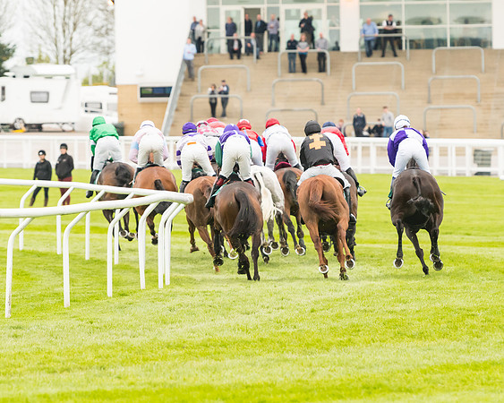 Race 4 - Timico Gold Cup (176 of 380)
