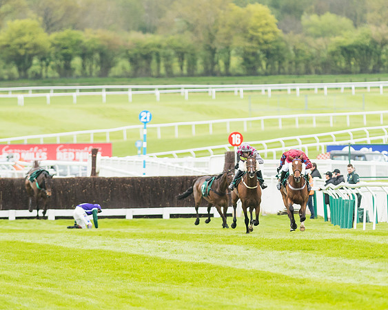 Race 4 - Timico Gold Cup (184 of 380)