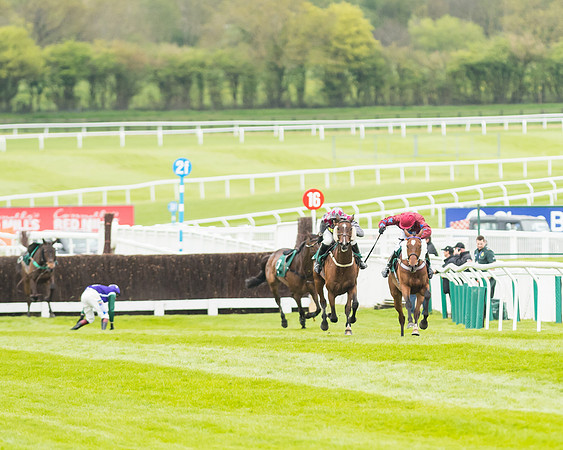 Race 4 - Timico Gold Cup (185 of 380)