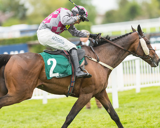 Race 4 - Timico Gold Cup (270 of 380)