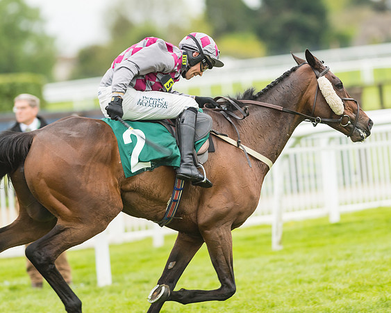 Race 4 - Timico Gold Cup (271 of 380)