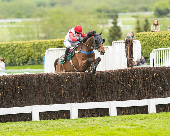 Race 4 - Timico Gold Cup (285 of 380)