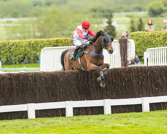 Race 4 - Timico Gold Cup (286 of 380)