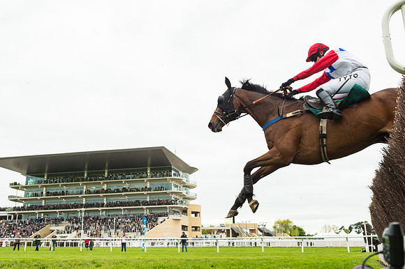 Race 4 - Timico Gold Cup (287 of 380)