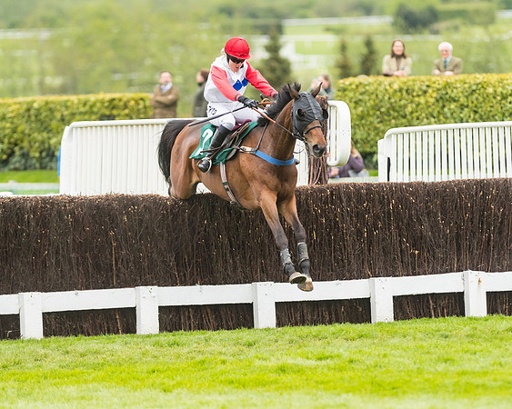 Race 4 - Timico Gold Cup (288 of 380)