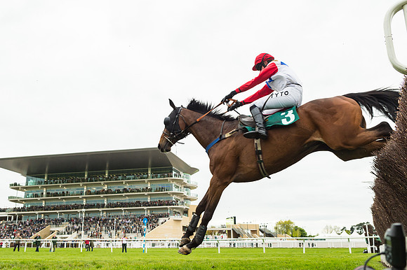 Race 4 - Timico Gold Cup (289 of 380)