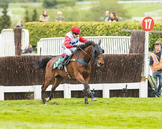Race 4 - Timico Gold Cup (290 of 380)