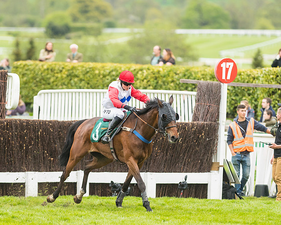 Race 4 - Timico Gold Cup (291 of 380)