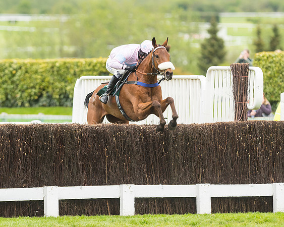 Race 4 - Timico Gold Cup (293 of 380)
