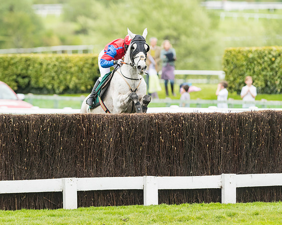 Race 4 - Timico Gold Cup (296 of 380)