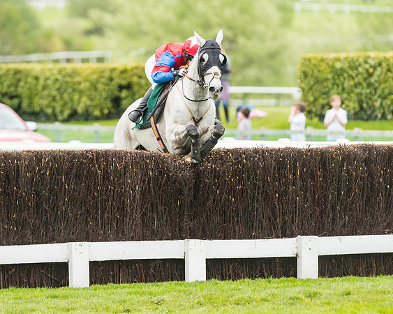 Race 4 - Timico Gold Cup (298 of 380)