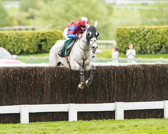 Race 4 - Timico Gold Cup (300 of 380)