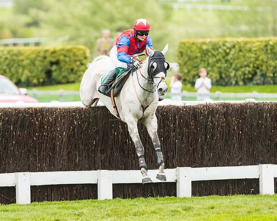 Race 4 - Timico Gold Cup (302 of 380)