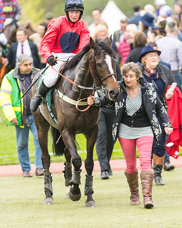 Race 4 - Timico Gold Cup (311 of 380)